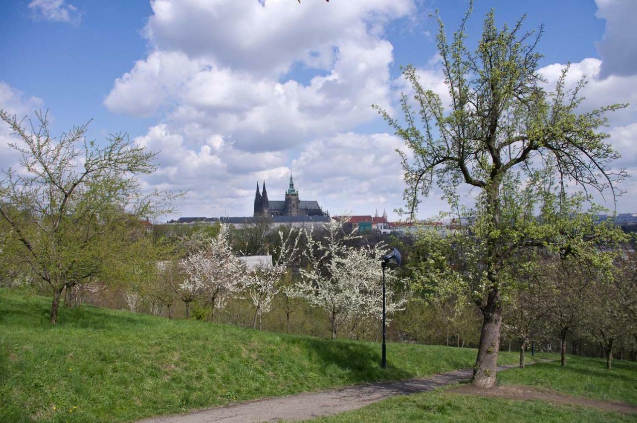 Apartments In Mala Strana - 10 Minutes From Charles Bridge Prag Dış mekan fotoğraf